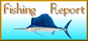 Weekly fishing report by Ixtapa Sportfishing Charters