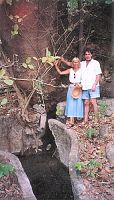 A MANANTIAL EMERGES FROM BENEATH A GIANT PAROTA, ZIHUATANEJO, MEXICO