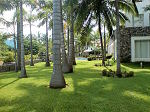 Grounds